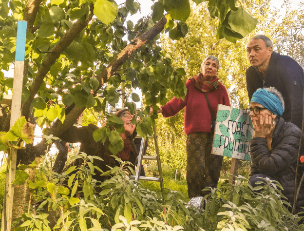 Le verger urbain, vos fruits à portée de main ! - Ville en vert