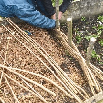 À l’automne, les atouts des branchages plus importants, comme le plessis permettront d'héberger les amis du jardinier mais aussi de l'érosion hivernale -