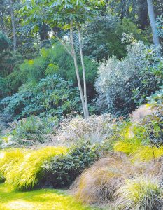 Jardin de Pellinec à Perros-Guirec