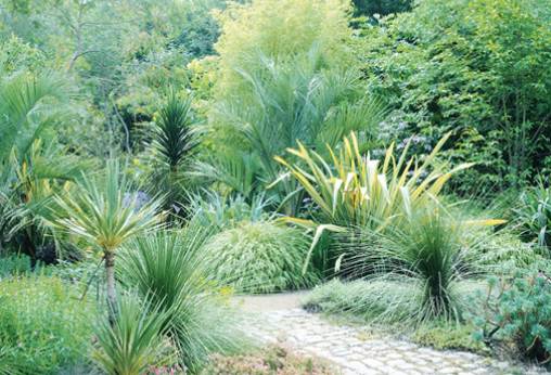 Dans le jardin austral la graminée au centre, un Hakonechloa macra 'Aureola' compte beaucoup pour exprimer la luxuriance végétale de cet endroit