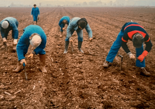 Efforts effectués sur la diminution de la pénibilité du travail