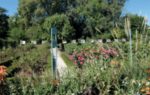 Jardin botanique