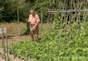 Homme jardinage