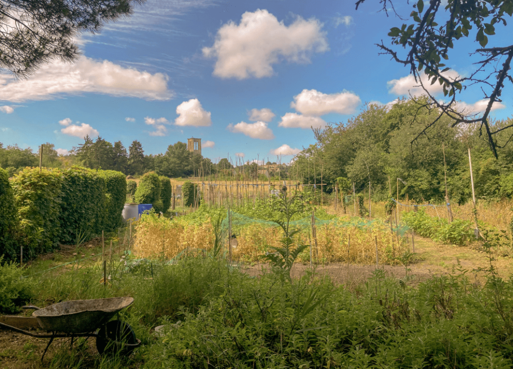 Au jardin de Jean-Marc Muller