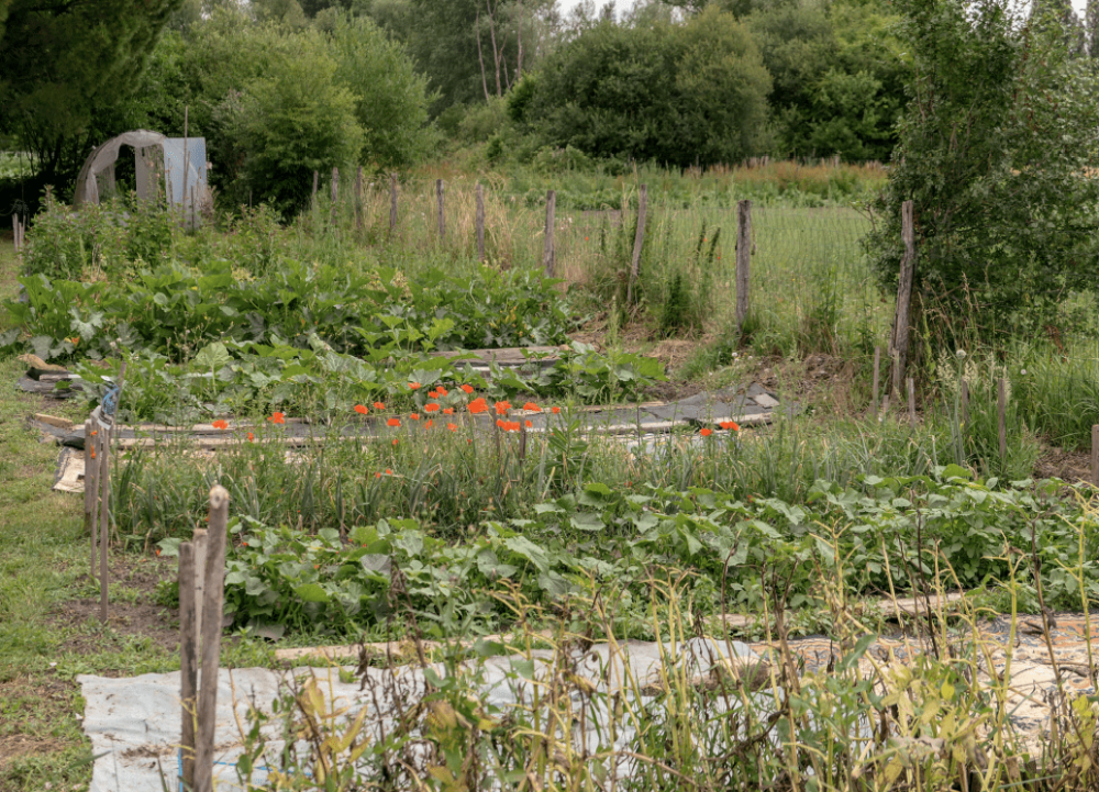 Jardin de Jean-Marc Muller