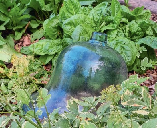 Cloches de verre