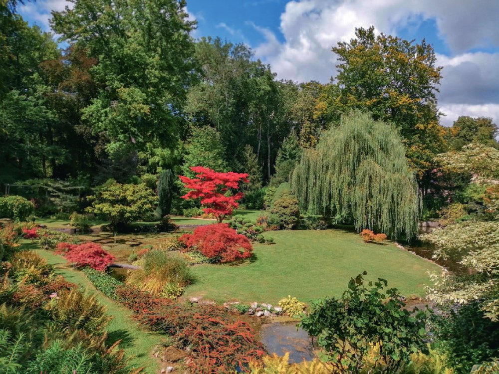 Jardin japonais