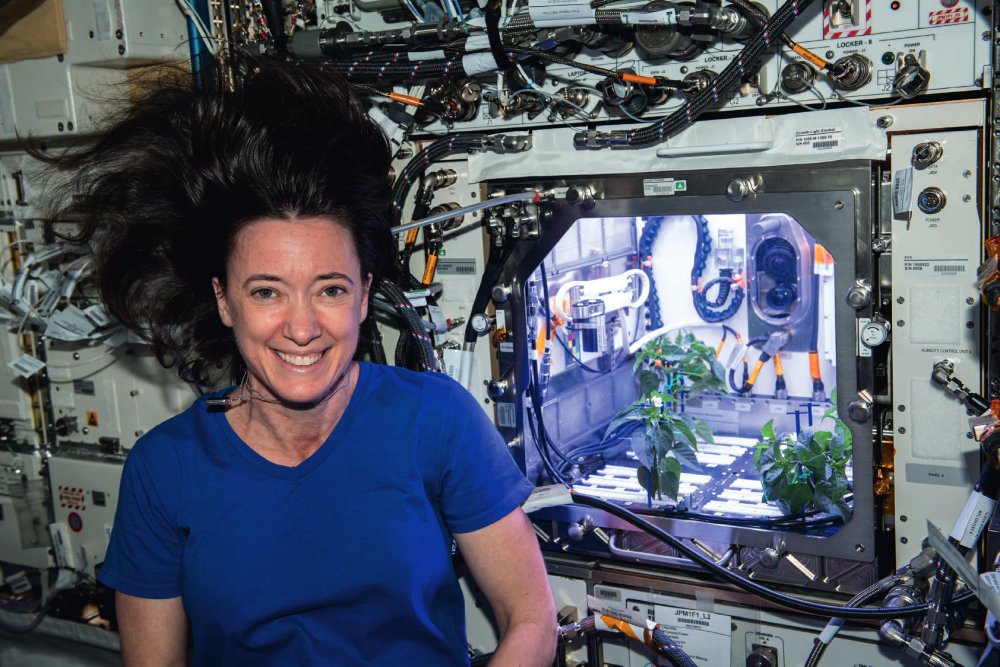 L’astronaute Megan MacArthur