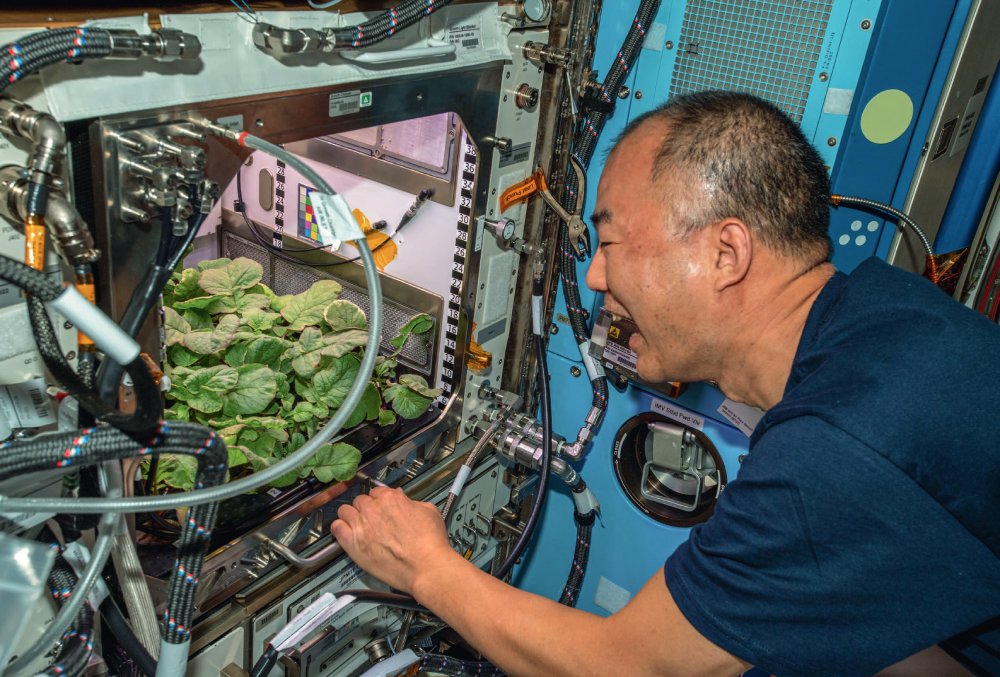 L’astronaute Soichi Noguchi