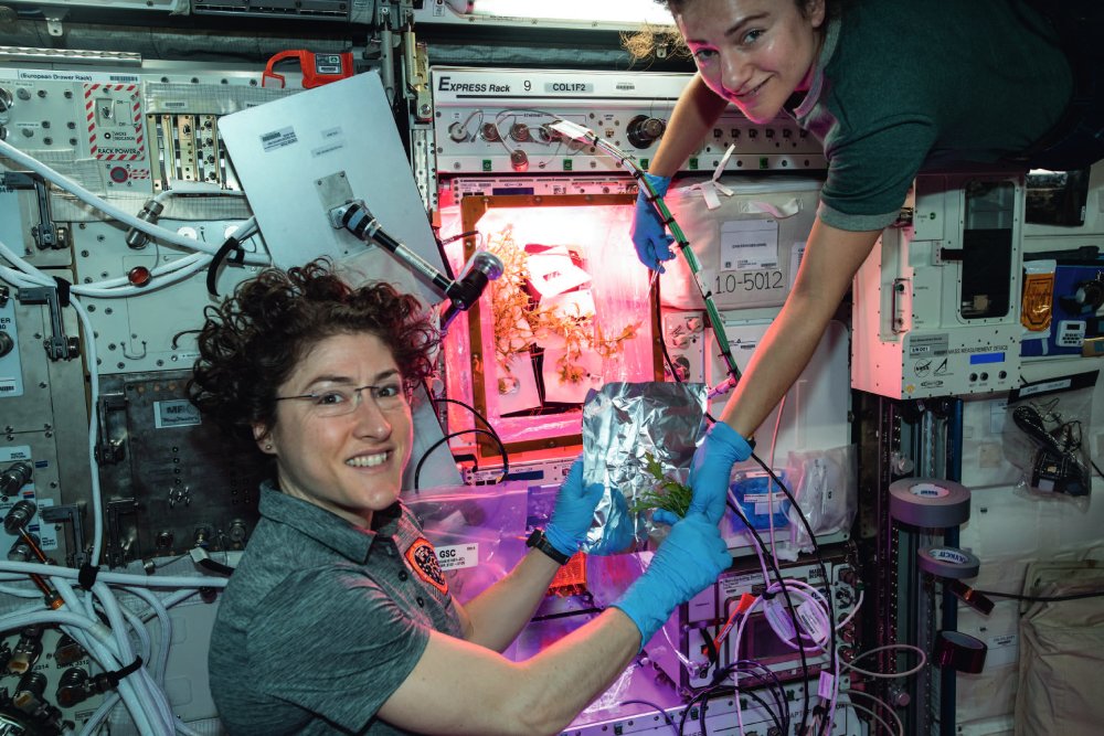 Les astronautes Christina Koch et Jessica Meir