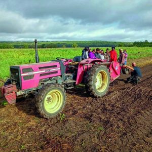 Travaux pratiques de Saltus Campus