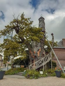 Arbre millénaire