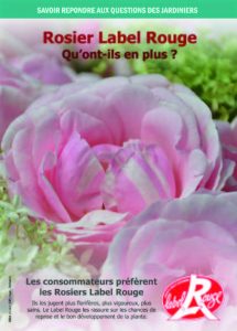 Communication consommateurs rosiers