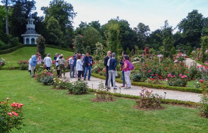 Concours international de roses nouvelles