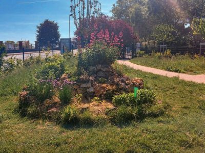 Jardin de valérien