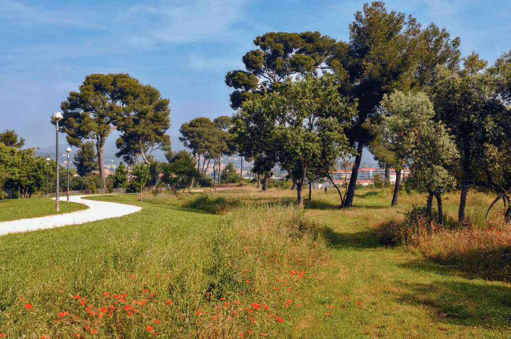 L’éco-jardin du parc Athéna