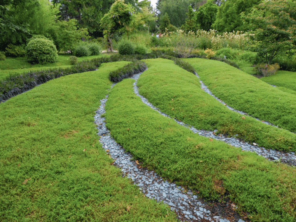 Jardin Japonisant