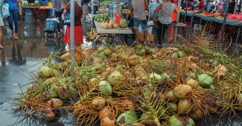 Noix de coco