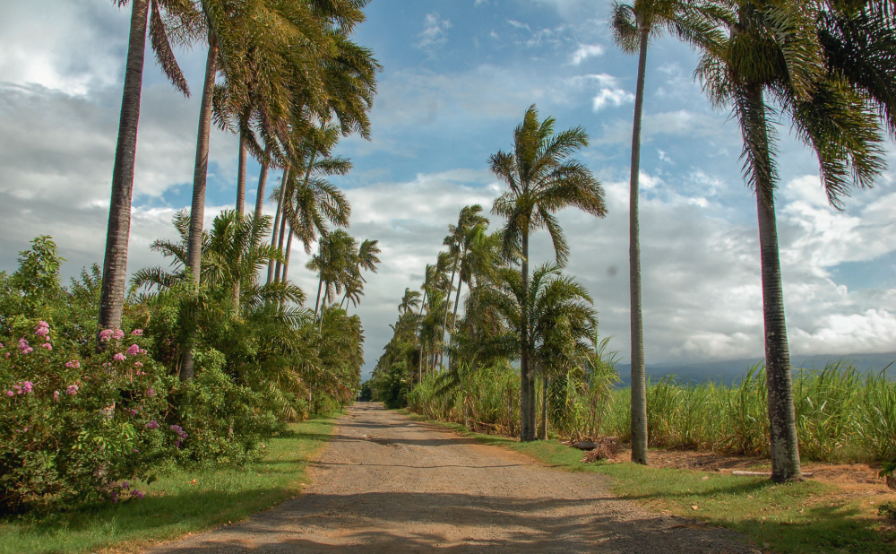 Réunion