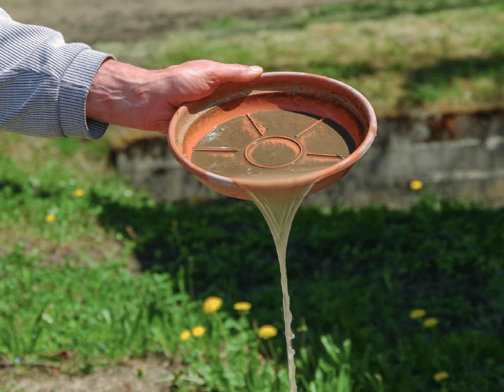 Soucoupe de pot de fleurs