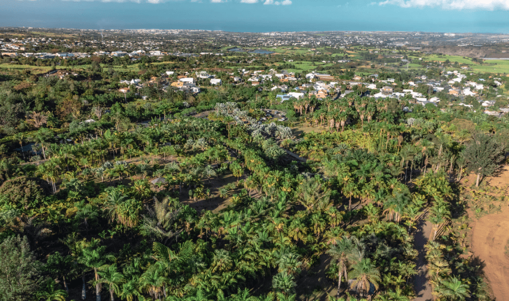 Vue aérienne parc des palmiers