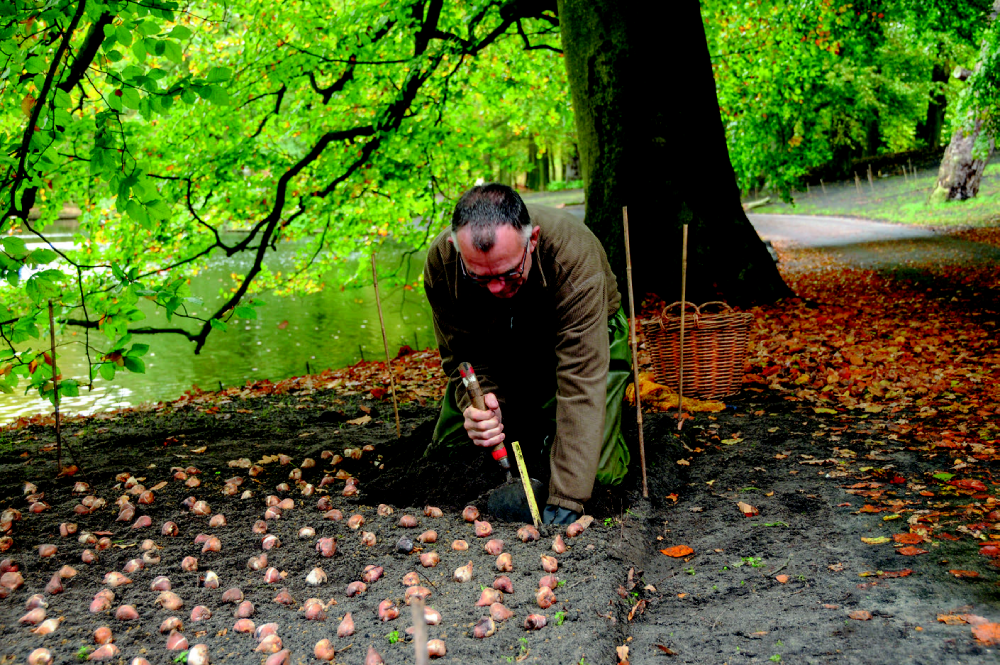 Conseils aux jardiniers : Savez-vous planter les bulbes ? - Jardins de  France