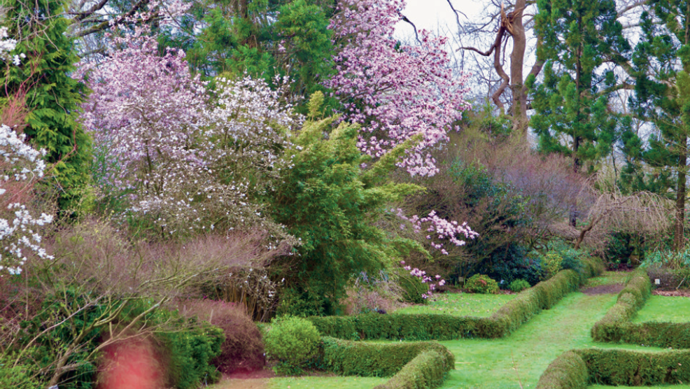 Toujours plus de diversité au sein du Plantarium, majoritairement en Camellia, mais aussi grâce à l'introduction de collections