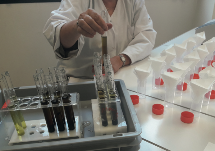 On analyse au laboratoire les activités microbiennes impliquées dans les processus de minéralisation en milieu complexe substrat engrais organiques
