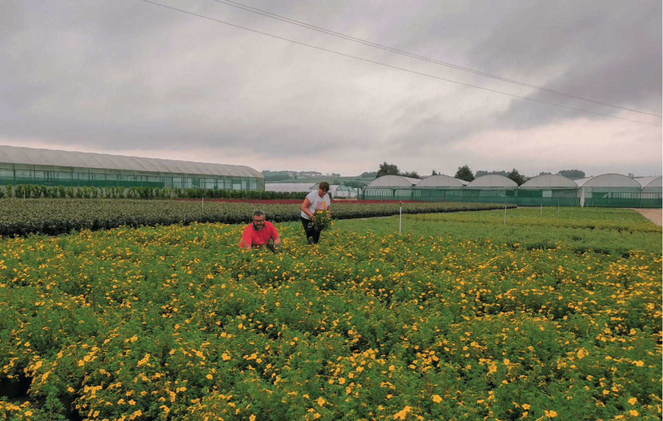 Producteurs dans un champ