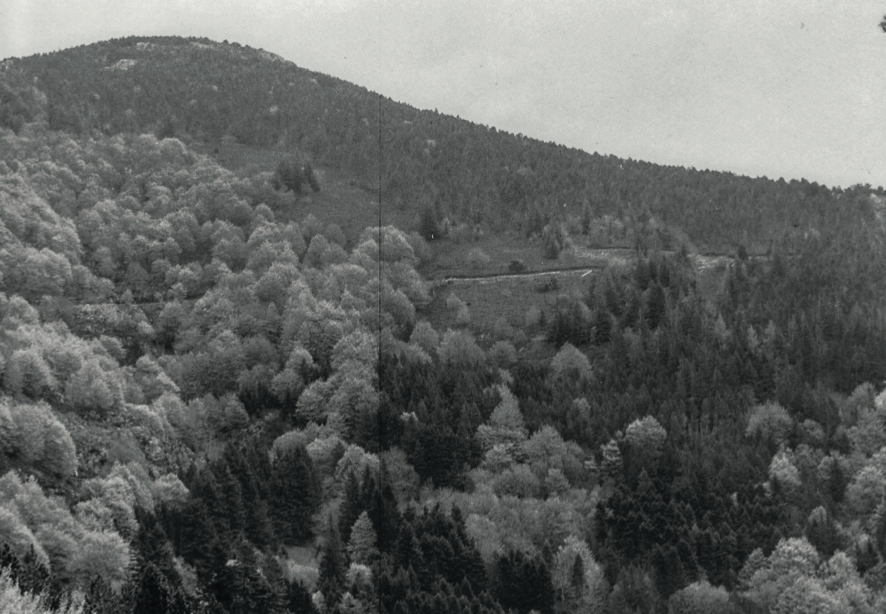 Vue de l’Hort de Dieu (Massif de l’Aigoual, Gard) en 1977. On ne voit plus le laboratoire de Charles Flahault qui est derrière les sapins