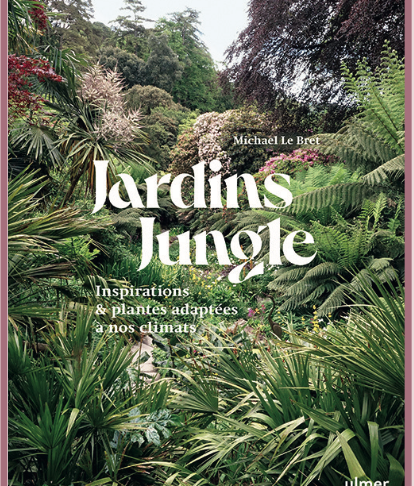 JARDINS JUNGLE : INSPIRATIONS & PLANTES ADAPTÉES À NOS CLIMATS