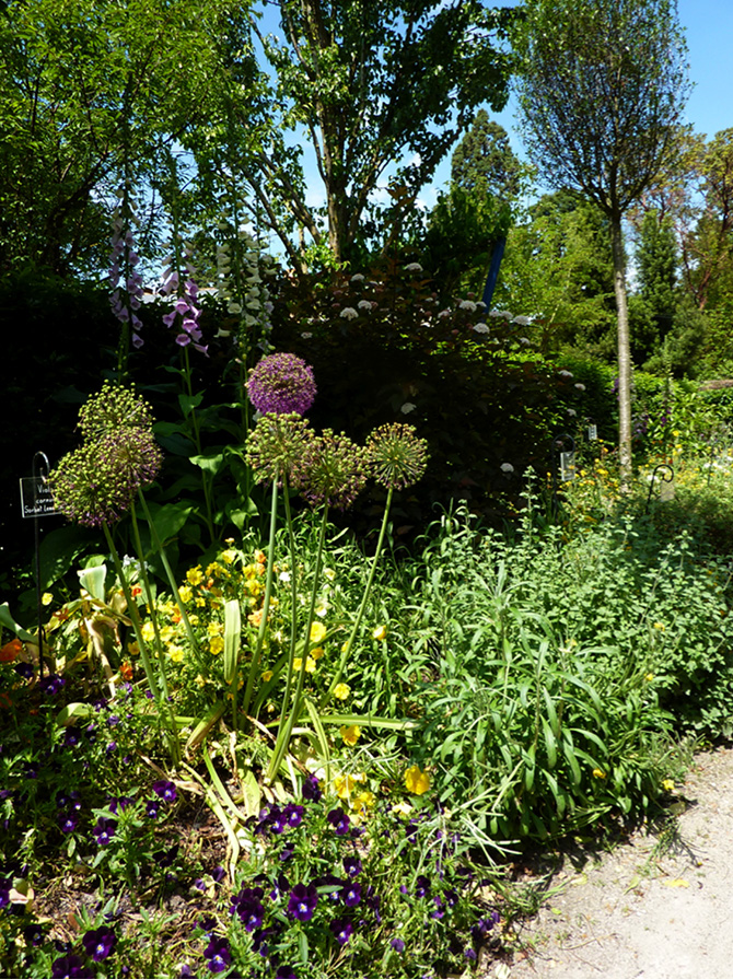 Diversifier la végétation est important. Exemple du jardin de Gaston Allard à Angers - © E. Rat-Morris