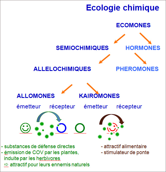 les relations entre les plantes et leur environnement