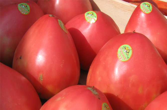 Figure 4- Très belle présentation de la tomate Cœur de bœuf sur le marché de Munich. - © J.Péron