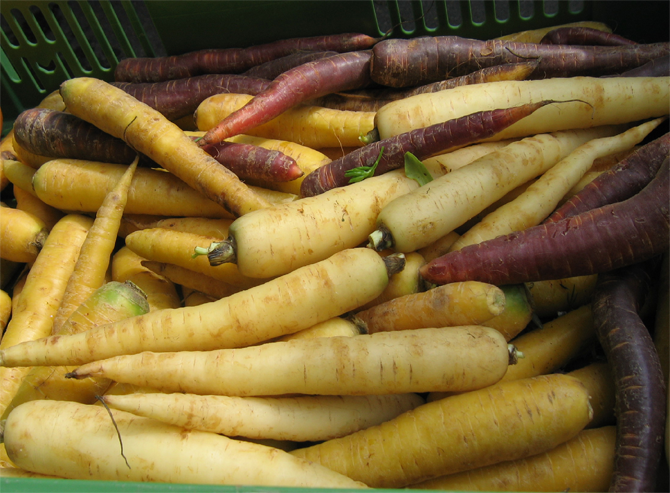 Figure 5 - La diversification chez la carotte ne s’est manifestée que récemment (ici sur le marché central de Munich). - © J.Péron