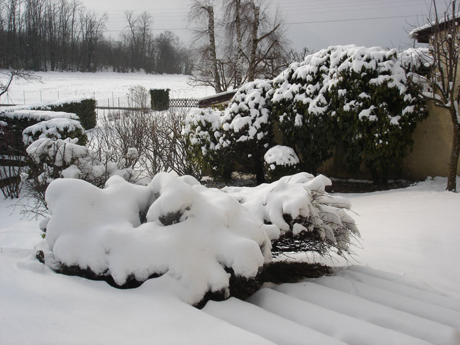 La neige est un élément protecteur contre le froid mais attention aux branches qui peuvent casser ! - © JF. Coffin