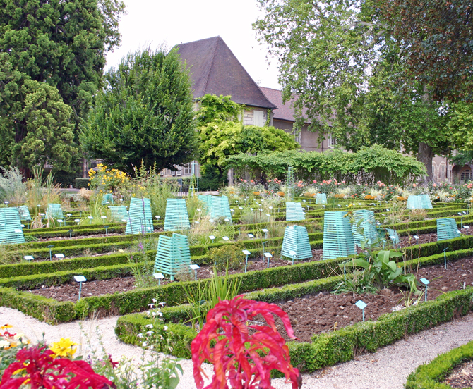 © Jardin des Plantes Dijon  