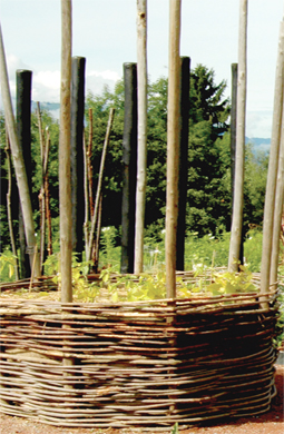 Le potager en carrés à 1 000 m d'altitude - © Snezana Gerbault