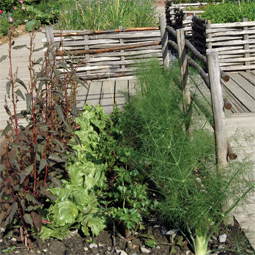 Le potager en carrés à 1000 mètres d'altitude - © Snezana Gerbault