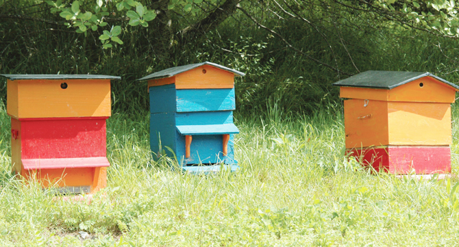 Les ruches fournissent le miel à consommer sur place - © Snezana Gerbault