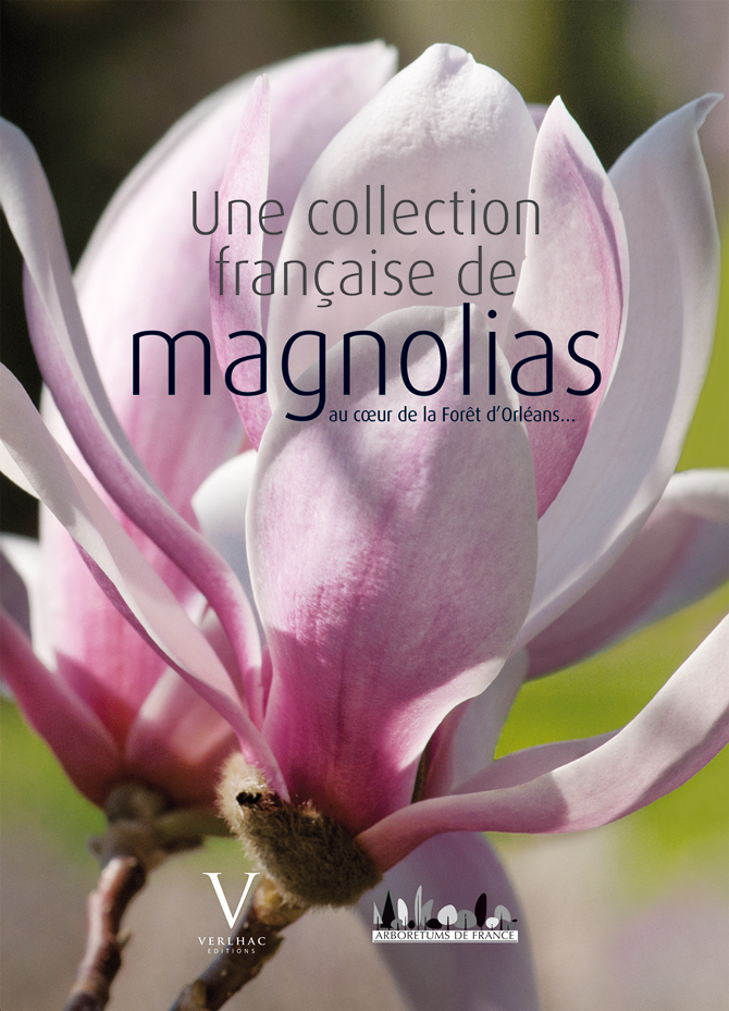 Une collection française de magnolias - © F. Simon