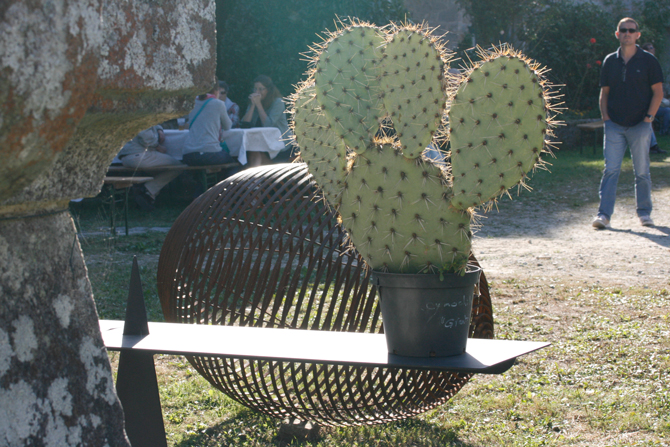 Opuntia cymochila des Monts Grants -  © J.-F. Coffin