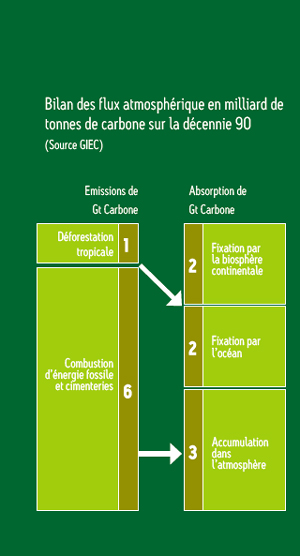 Bilan des flux atmosphériques © GIEC