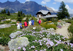 Le jardin botanique alpin du Lautaret © Serge Aubert