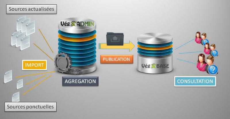 Schéma d'organisation de l'application VégéBase©