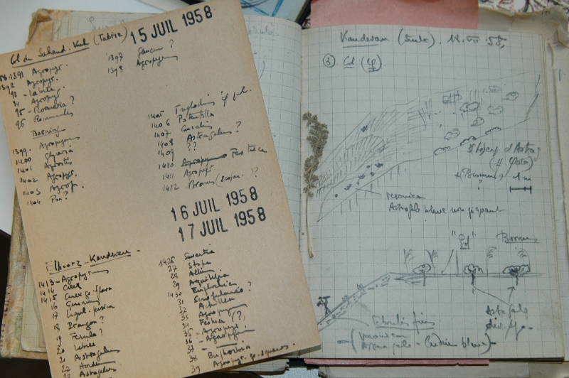 Une fiche avec la liste des espèces ramassées dans la nature lors d'une expédition scientifique en Iran et les notes du naturaliste Gérard Aymonin (Kandevan, Iran, 18 juillet 1958) © S Gerbault