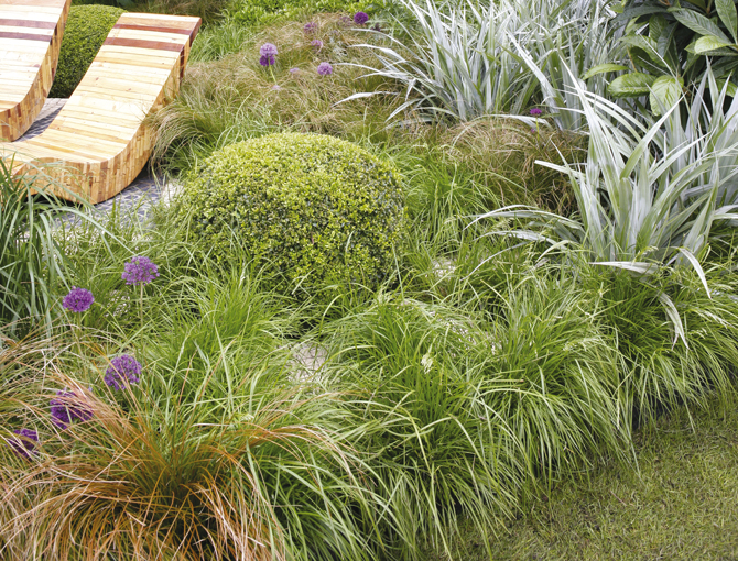 Stipa, Carex testacea, Allium composent ce jardin cotemporain