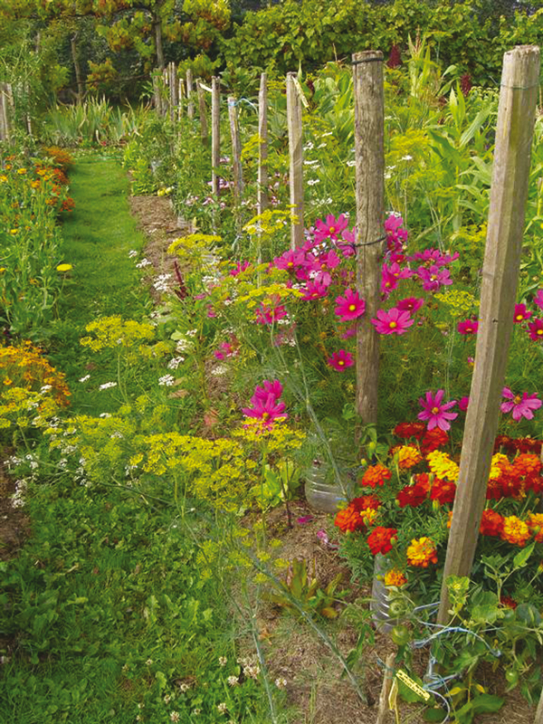 Jardin d'Hélène Jaworski, lauréate 2012