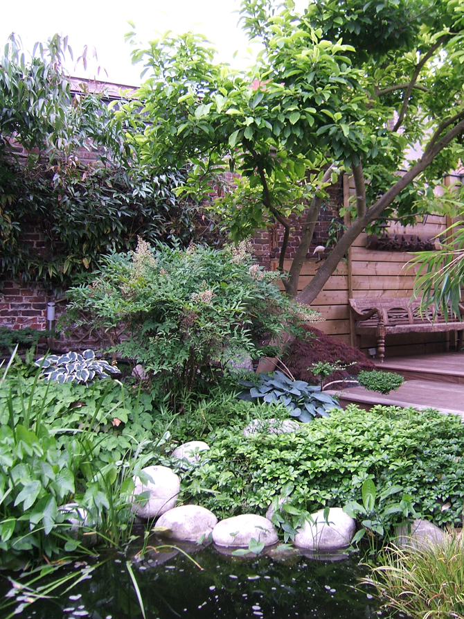 Le jardin japonais de M. et Mme Vandenbussche  à Hellemmes