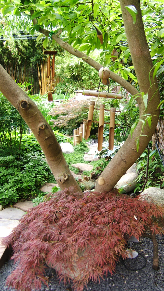 Le jardin japonais de M. et Mme Vandenbussche  à Hellemmes